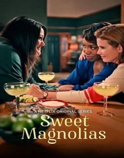 voir serie A L'ombre Des Magnolias saison  1