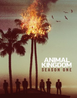 voir serie Animal Kingdom saison  1