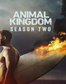 voir serie Animal Kingdom saison  2