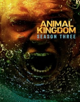 voir serie Animal Kingdom saison  3