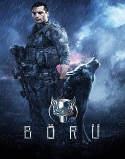série Boru