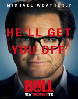 voir serie Bull saison  1