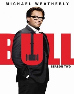 voir serie Bull saison  2