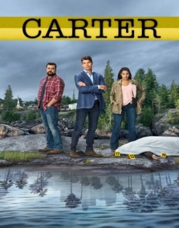 voir serie Carter saison  1