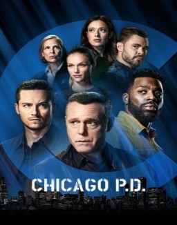 voir serie Chicago Police Department saison  1