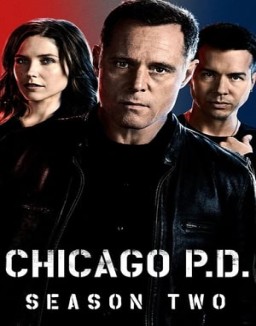 voir serie Chicago Police Department saison  2
