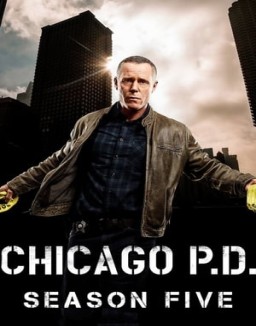 voir serie Chicago Police Department saison  5