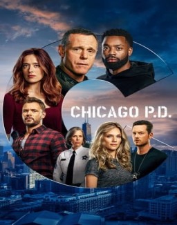 voir serie Chicago Police Department saison  8