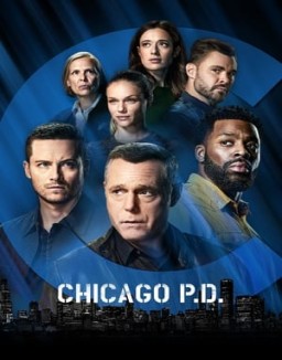 voir serie Chicago Police Department saison  9
