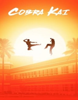voir serie Cobra Kai saison  1