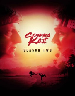 voir serie Cobra Kai saison  2