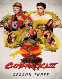 voir serie Cobra Kai saison  3