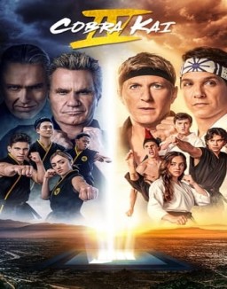 voir serie Cobra Kai saison  4