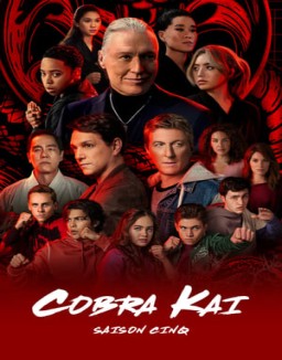 voir serie Cobra Kai saison  5