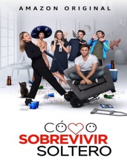 voir serie Comment survivre célibataire saison  1