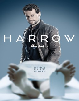 voir serie Dr Harrow saison  1