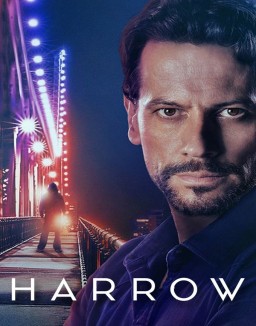 voir serie Dr Harrow saison  2
