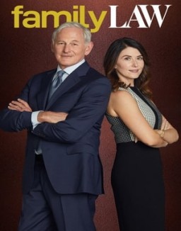 voir serie Family Law saison  1