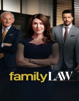 voir serie Family Law saison  2