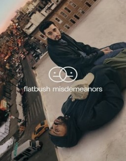 voir serie Flatbush Misdemeanors saison  1