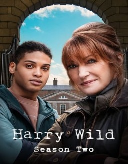 voir serie Harry Wild saison  2