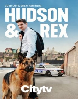 voir serie Hudson et Rex saison  4