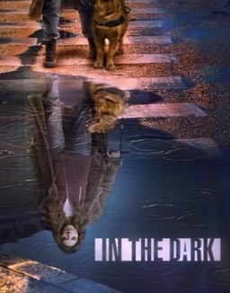 voir serie In the Dark saison  2