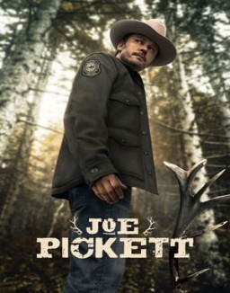 série Joe Pickett