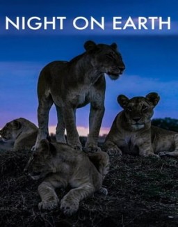 série La Terre, La Nuit