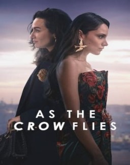 voir serie Les Ailes de l’Ambition saison  2