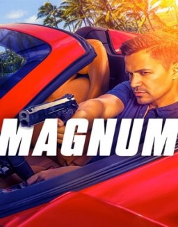 voir serie Magnum saison  1