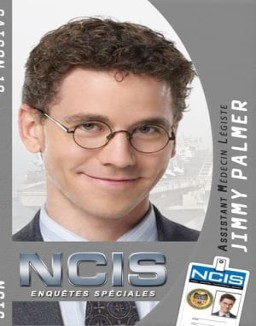 voir serie NCIS : Enquêtes Spéciales saison  10