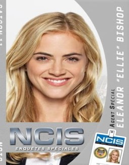 voir serie NCIS : Enquêtes Spéciales saison  11