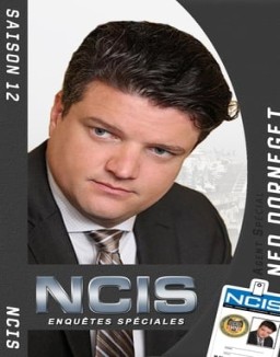 voir serie NCIS : Enquêtes Spéciales saison  12
