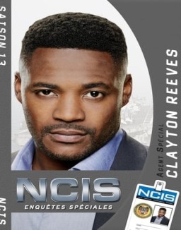 voir serie NCIS : Enquêtes Spéciales saison  13