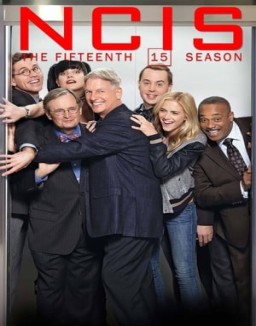 voir serie NCIS : Enquêtes Spéciales saison  15