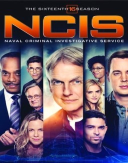voir serie NCIS : Enquêtes Spéciales saison  16