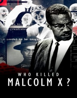 série Qui a tué Malcolm X ?