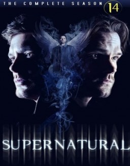 voir serie Supernatural saison  14
