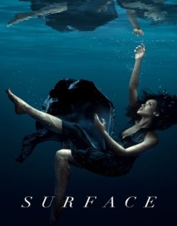 voir serie Surface saison  1