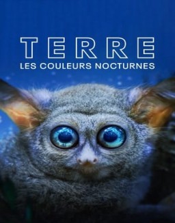 voir serie Terre : les couleurs nocturnes saison  1