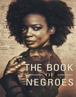 série The Book of Negroes