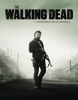 voir serie The Walking Dead saison  5